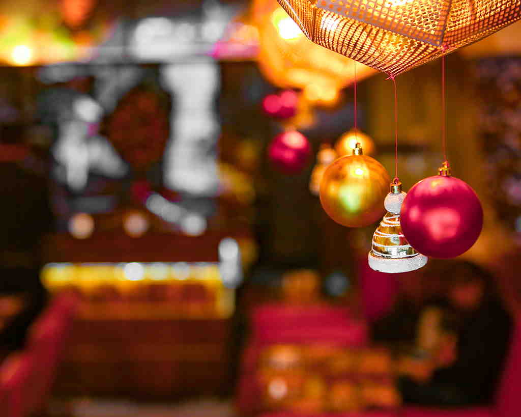 A Magical Maltese Christmas